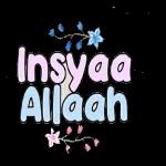 Saya kejar awak &