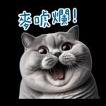 起肖貓貓★台語卡唬爛!