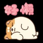 米犬日常 - 冬至篇