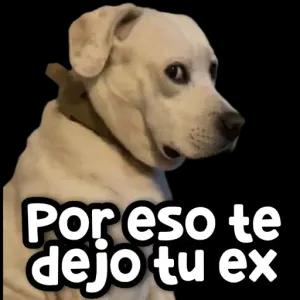 Por eso te dejo tu ex - getsticker.com