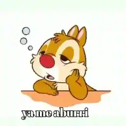 UgQyAD