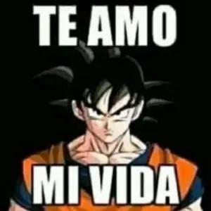 6Vbc0d
