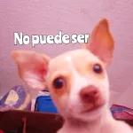 No puede ser