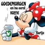 Goedemorgen☀️