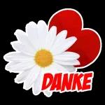 Tägliche Grüße🌷