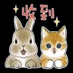 點擊獲取更多快樂 👉