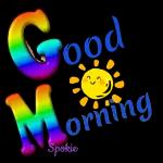 aynur