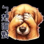 好黃金獵犬-微白目篇