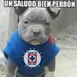Cruz azul 