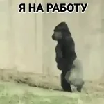 разная фигня