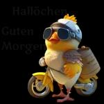 Die niedliche Hühner🐔