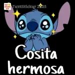 bonita noche!