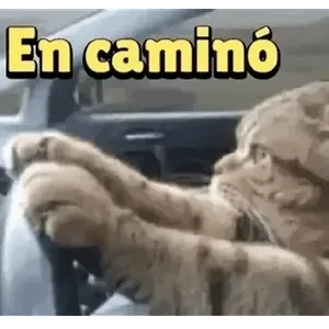 hwgurv