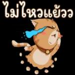 ต่อสิ่งที่ไม่จำเป็นในชีวิตเรา 