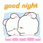 good night