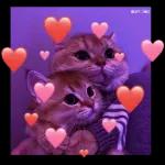 Cute