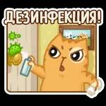 Persik
                            Yelena Savchenko