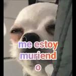 memes