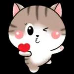 Cats! For reply