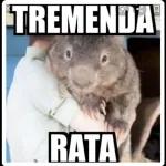 rata