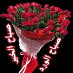 أسعد الله
بكل
http://t.me/getinfo
ر
@getinfo
http://t.me/getinfo
@getinfo
@getinfo