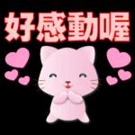 可愛粉粉貓-每日常用語