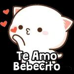 paquete #3