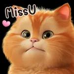 cute cat ❤️❤️