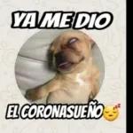 BIEN