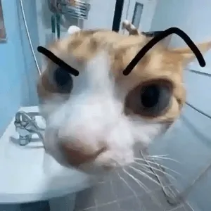 HHYXGB