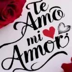 te amito 