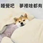 尷尬又不失禮貌的微笑