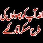 اردو سٹیکرز پیک