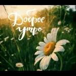 утро доброе