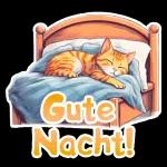Schönen Abendspäter einegute Nacht gewünscht!