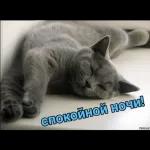 супер картинки.