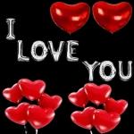 nighy nite