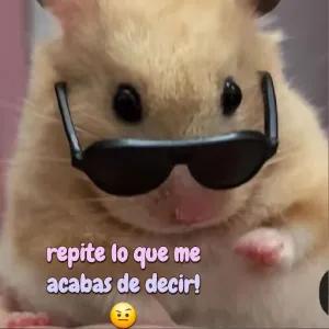 repete lo que me acabas de decir! - getsticker.com