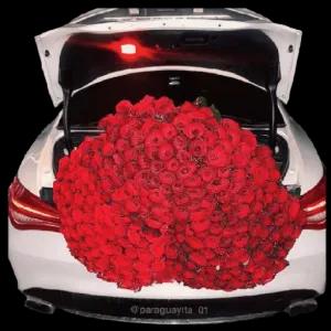 No hay rosas más rojas que las de mi país - getsticker.com
