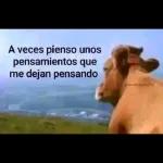 Yo no finjo demencia yo finjo cordura