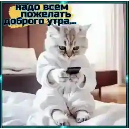 от Маси 🩶🩶