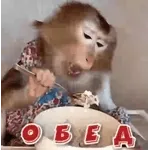 гифки 