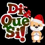 Dis
Que
Sil
@lexa