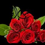 صباح الخير
بنا ططو