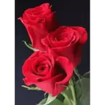 ❤️❤️❤️❤️❤️❤️❤️