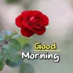 Good afternoon