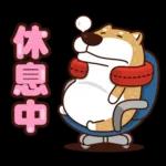 我是你的柴 2