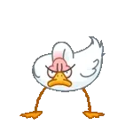 Dove sei? Perché non mi rispondi?