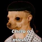 Pegatinas gratis