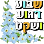 חדשים 🎁